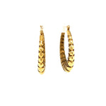 Brushed Gold Hollow Hoop Earrings